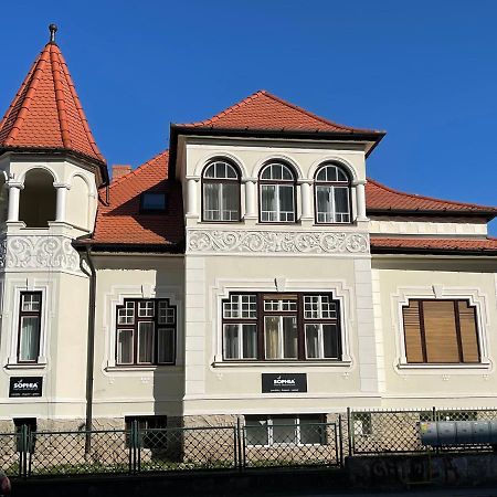 סיביו Vila Marioara מראה חיצוני תמונה